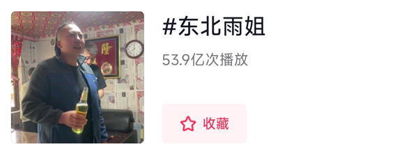 東北雨姐:東北給全國人打的一針興奮劑