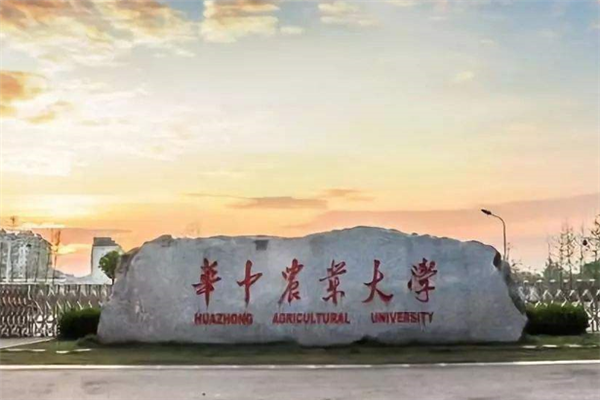 武漢211大學(xué)有哪些？2019武漢211大學(xué)名單排名榜 (7所)