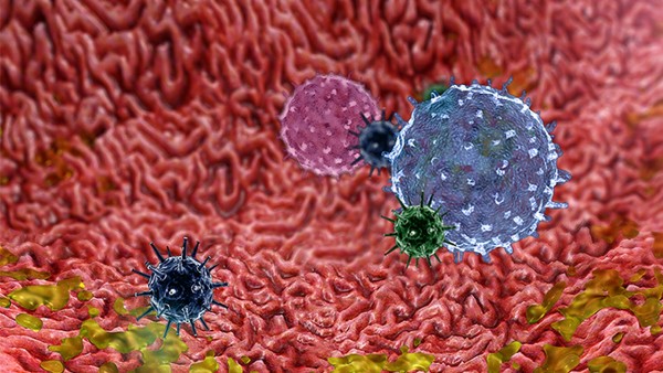 治療尖銳濕疣大概需要多少錢呢