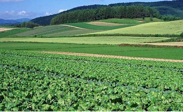 未來發(fā)展十大前景行業(yè)，未來發(fā)展最有潛力的行業(yè) 