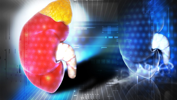 腳趾關(guān)節(jié)紅腫疼痛是痛風(fēng)嗎