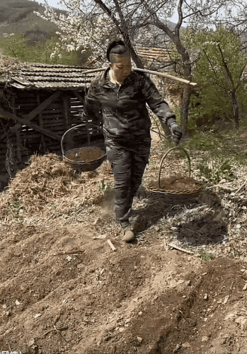 東北雨姐:東北給全國人打的一針興奮劑