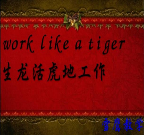 跟老虎相關(guān)的英語單詞和短語（跟老虎相關(guān)的英語單詞和短語）(8)