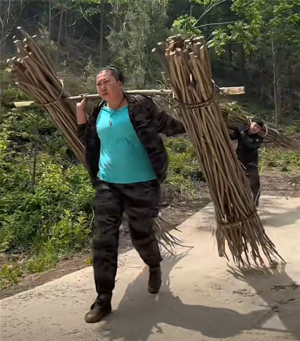 東北雨姐:東北給全國人打的一針興奮劑