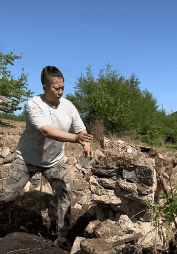 東北雨姐:東北給全國人打的一針興奮劑