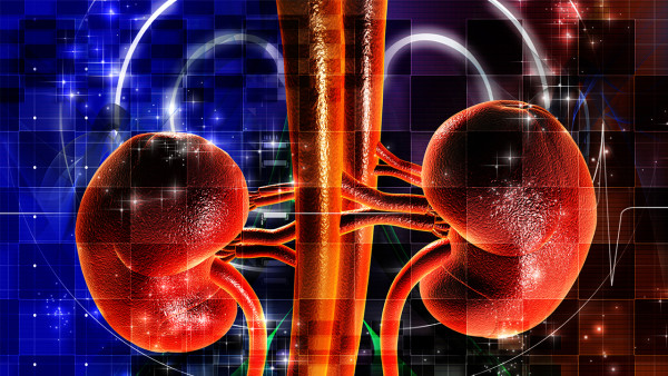 雙腎結(jié)石伴隨腎積水怎么辦