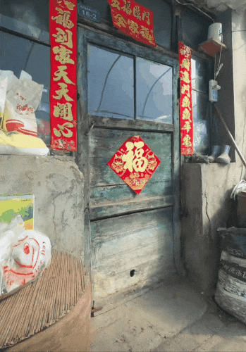 東北雨姐:東北給全國人打的一針興奮劑