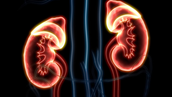 iga腎炎有哪些藥