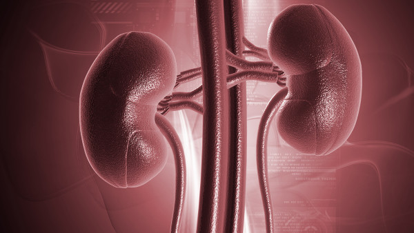 檢查有腎盂腎炎，身體無感覺