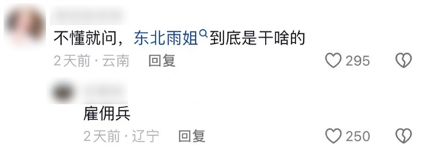 東北雨姐:東北給全國人打的一針興奮劑