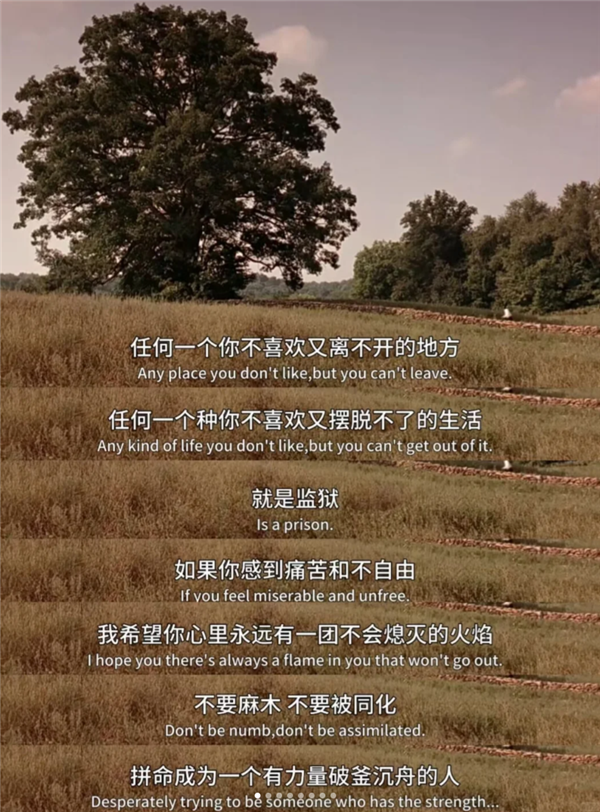 營銷號們：讓馬斯克和羅翔成了毒雞湯批發(fā)部