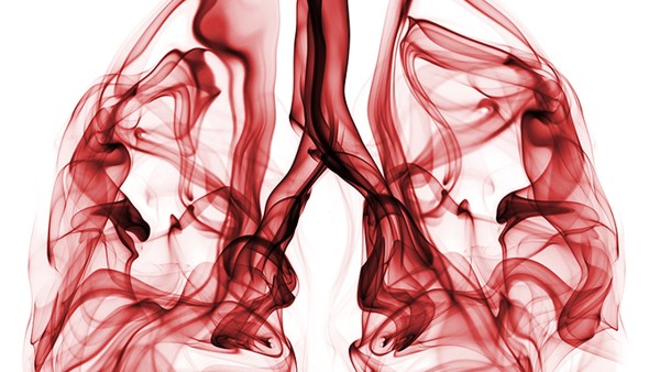 肺結(jié)核有什么危害 嚴(yán)重嗎