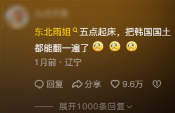 東北雨姐:東北給全國人打的一針興奮劑