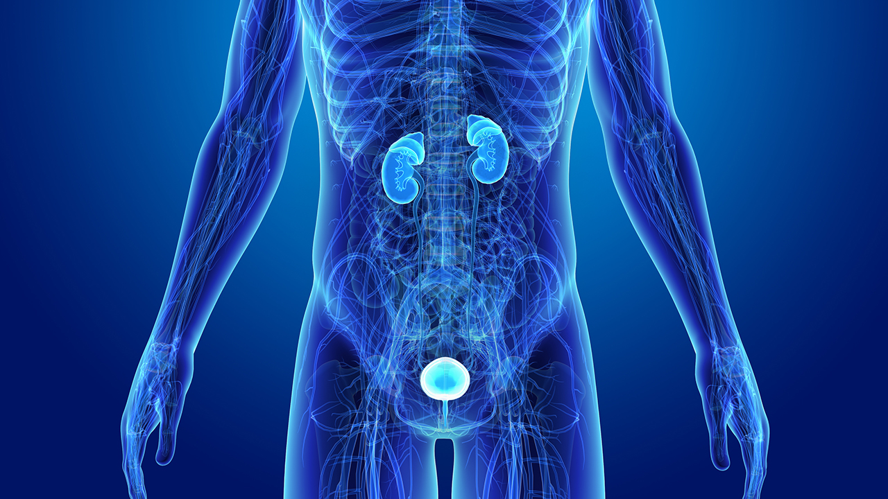 哪些人易得前列腺囊腫