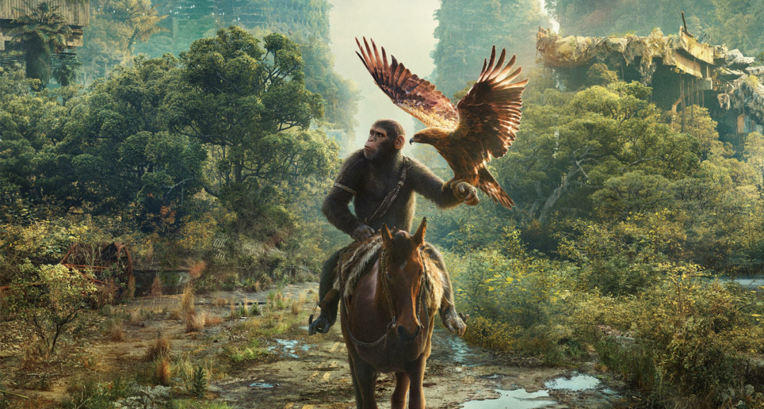 最新國外大片（2024年十大超級大片） 10