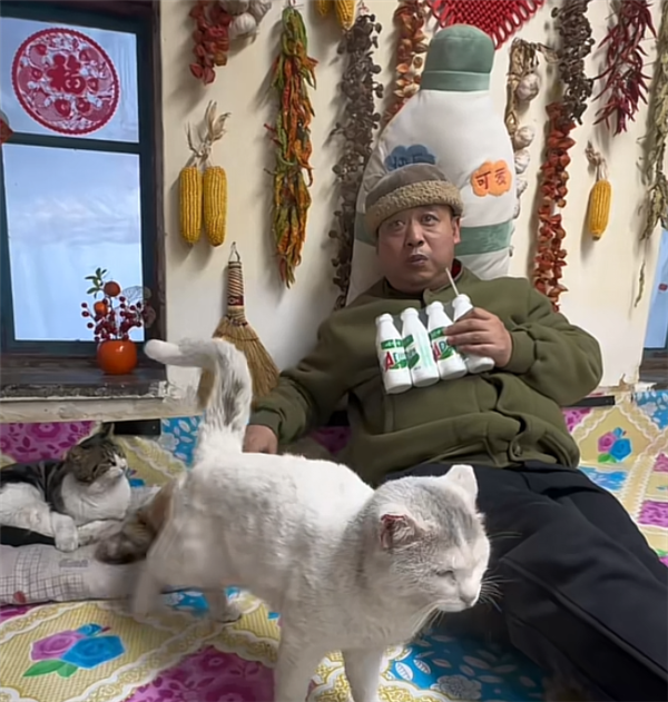 東北雨姐:東北給全國人打的一針興奮劑