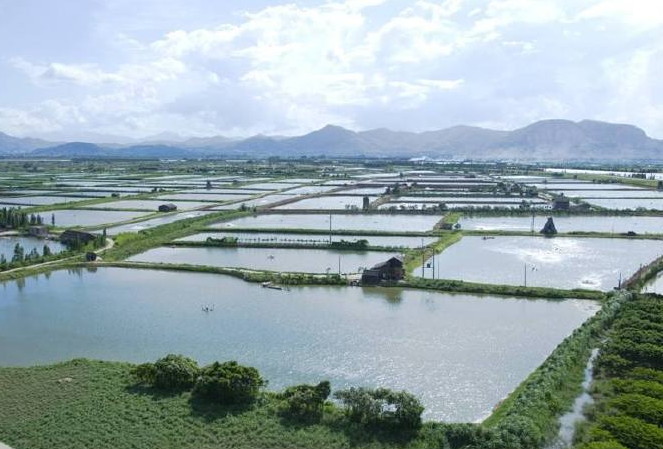 小投資十大暴富行業(yè) 果樹種植上榜，有你喜歡的行業(yè)嗎