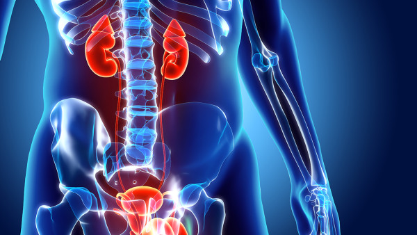 52歲腎癌手術(shù)后注意哪些