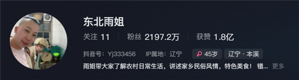 東北雨姐:東北給全國人打的一針興奮劑