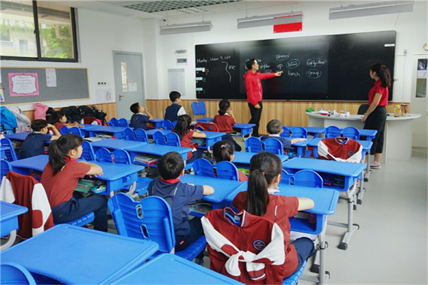 四川省十大教育培訓機構排名 高起點教育上榜 第一課程多樣受歡迎