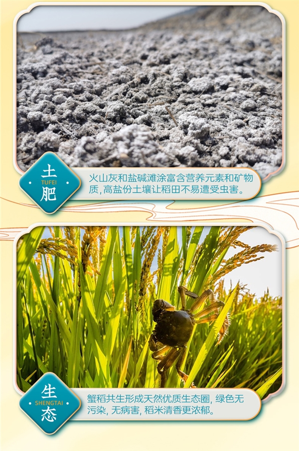 年度新米：隆平農(nóng)場東北晶米10斤39.9元發(fā)車（蒸煮都好吃）