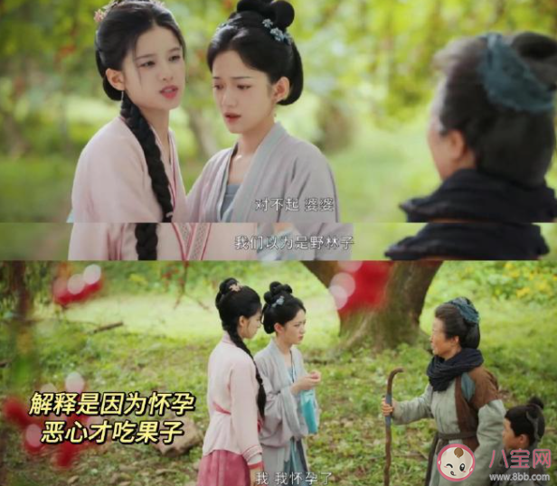 《惜花芷》四夫人的孩子是誰的 花家為什么被抄家