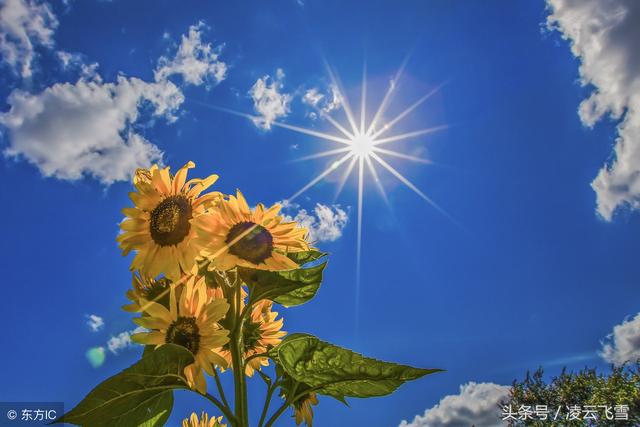 最適合炎炎夏日讀的3首清涼古詩(shī)詞，一定給你帶來(lái)一抹心中的清涼（最適合炎炎夏日讀的3首清涼古詩(shī)詞）(2)