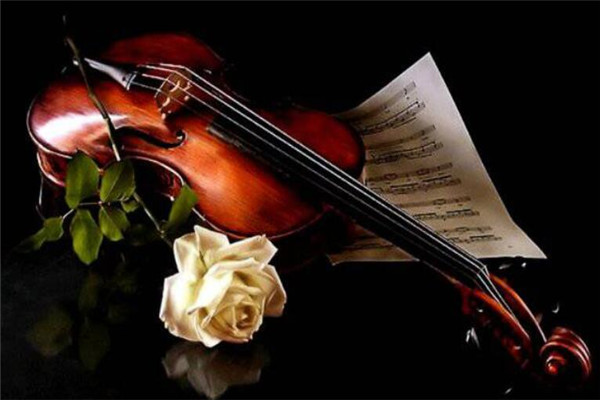 十種不適合學(xué)小提琴的人 中招了千萬別學(xué)，燒錢還沒費(fèi)時間