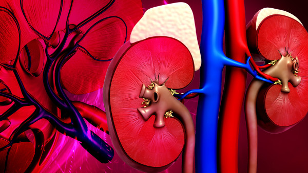 iga腎炎怎么都那么嚴(yán)重