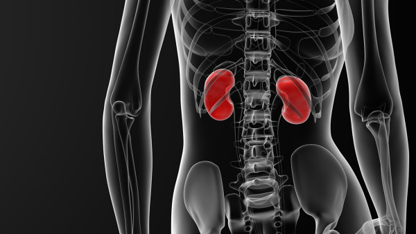 查出初期腎炎，應(yīng)注意什么