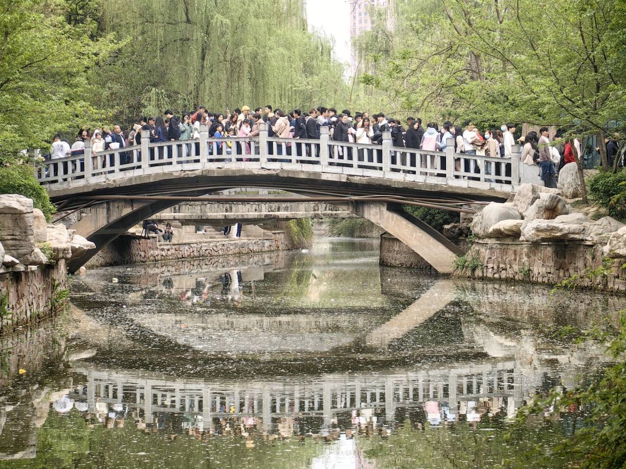 清明哪個(gè)景區(qū)看起來都像有1億人：天水、淄博受歡迎