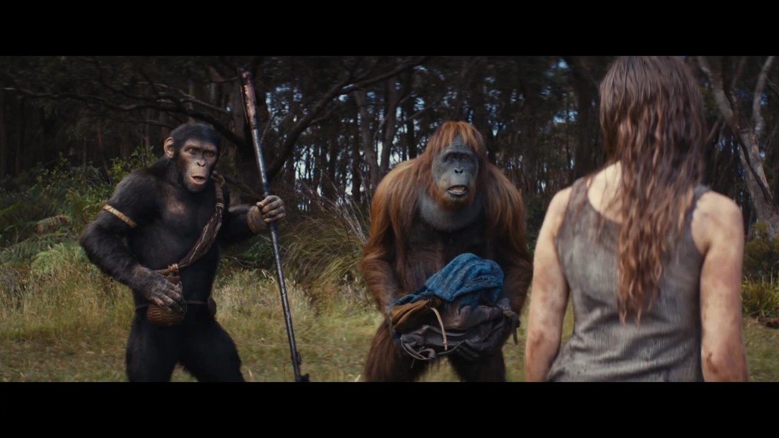 《猩球崛起4：新世界》新預(yù)告發(fā)布 新世界誰將主宰！