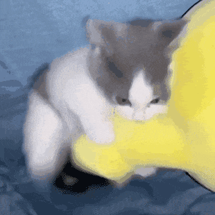 1712651210706749.gif 92B204D8DF6D04DE7FD920C8893A953F.gif