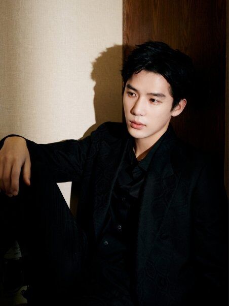 “老王哥”王安宇現(xiàn)身維也納當導游，一身比音勒芬潮裝，網(wǎng)友直呼夢回《花少》