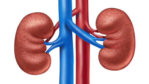 胰腺炎腎衰竭是什么