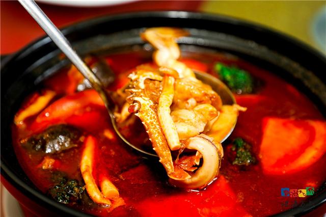 珠海外伶仃島有啥美味 這群美食評(píng)審團(tuán)都給你挑出來了(珠海外伶仃島有啥美味)(15)
