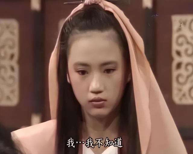 美尼姑 曾紅遍南北，搭檔梁朝偉，賈靜雯給她做配，卻突然出家（美尼姑曾紅遍南北）(11)