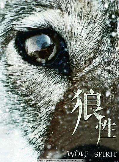 任正非發(fā)展華為的歷程，你學(xué)到了嗎（任正非發(fā)展華為的歷程）(7)