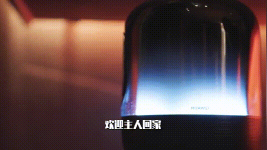 華為正式發(fā)布 打造 未來家 ，提升幸福感（華為正式發(fā)布打造）(13)