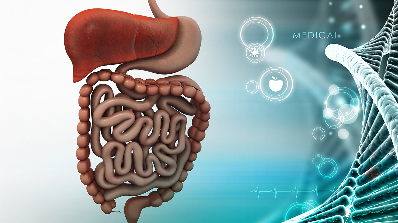 導(dǎo)致細(xì)菌性痢疾的傳播途徑