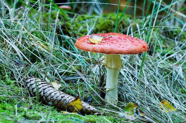 五一調(diào)休放假5天（2024年五一端午放假通知） 16