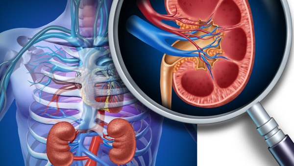 急性心肌梗塞會(huì)讓腎衰竭嗎
