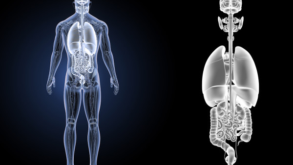 檢查風濕需不需要空腹抽血