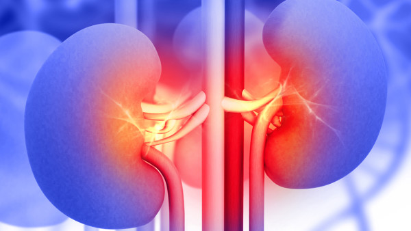 輸尿管結(jié)石伴腎積水怎么治