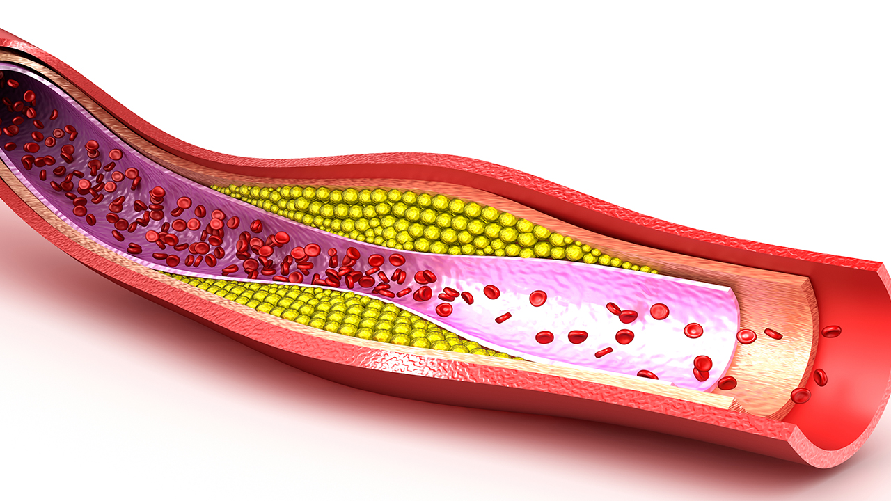 急性白血病不治療能活多久
