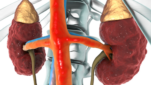 iga腎炎與肚子疼