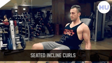 手臂訓(xùn)練計劃，六個訓(xùn)練動作，帶你練出麒麟臂，增肌人群必備（手臂訓(xùn)練計劃六個訓(xùn)練動作）(8)