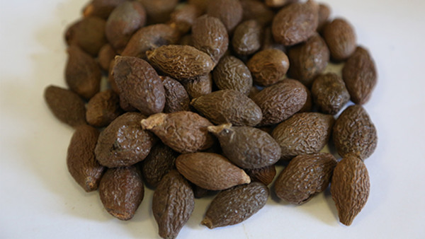 吃多了胃脹疼吃什么藥緩解