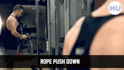 手臂訓(xùn)練計(jì)劃，六個訓(xùn)練動作，帶你練出麒麟臂，增肌人群必備（手臂訓(xùn)練計(jì)劃六個訓(xùn)練動作）(12)