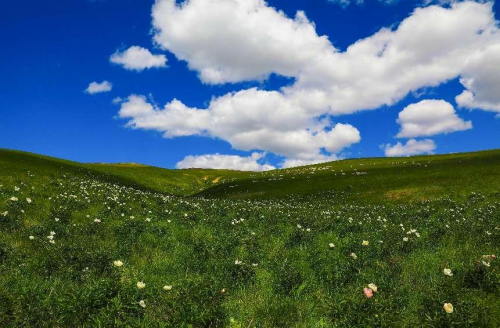 5.19烏蘭圖雅北京演唱會(huì) 聆聽(tīng)“花開(kāi)四季”感受“天邊草原”烏拉蓋